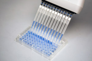 antibody assay development