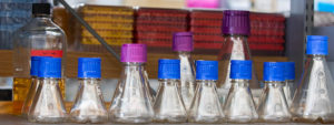 Cell line generation services