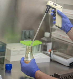 Cell line generation services
